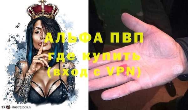 шишки Алексин