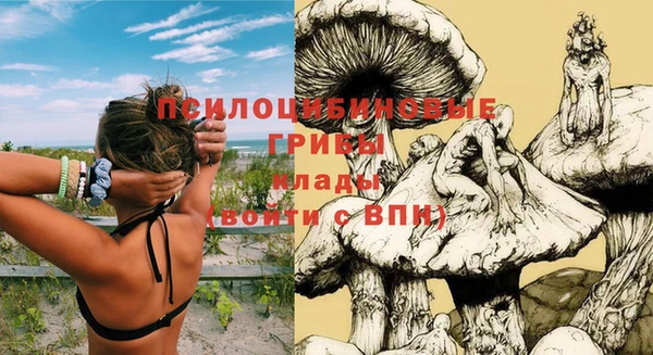 соль курить ск Михайлов