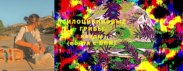 ПСИЛОЦИБИНОВЫЕ ГРИБЫ Алексеевка