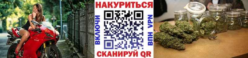 Бошки Шишки White Widow  продажа наркотиков  Каневская 